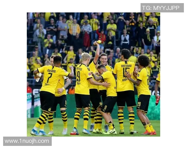 欧冠精彩对决多特蒙德凭借绝杀战胜那不勒斯全场沸腾